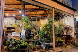 ガーデン ゴッコラ – 仙台市