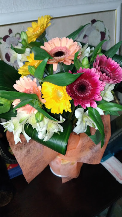 AF1QipMDVzT v lZxPdtKU6FZ8zqaP4c3gbeJeVtJWflw408 h725 k no