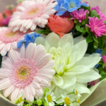 AF1QipManI5n3RTWpju0JCjoAwSKv1EosLx vhodDX w426 h240 k no