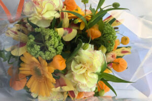 小畑百花園 – 広島市