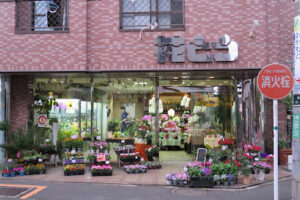 花とう – 府中市