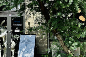 Maison Florist Greendays – 仙台市