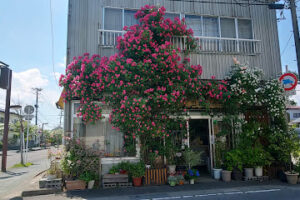 フラワリーたかの – 加美町
