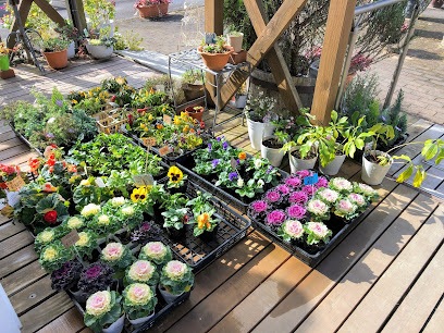 AF1QipN7MNm8MTHN6g96CW TJ9hYEwi9l25TWJbLdMwSw408 h306 k no