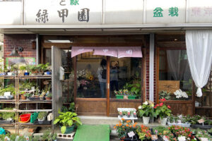 緑甲園 – 東大阪市