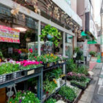 AF1QipNG9nbuiESKFpgVPey15D5T 2 poa9z V2Co9iFw408 h240 k no pi 0 ya97.22979 ro 0 fo100