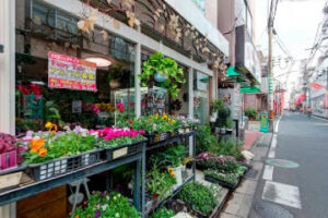 フラワーショップ MOTOKA – ふじみ野市