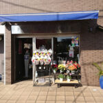 AF1QipNIuTfe2HerX70Cd6SuFxzY zLmT QvnZrjjJ 0w426 h240 k no