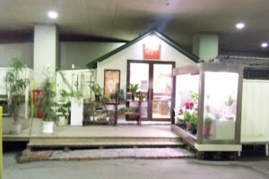 花菜たんぽぽ – うるま市