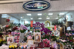 Sumire Blossom – 都城市