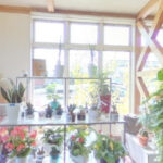 （有）五所生花店 – 宇佐市