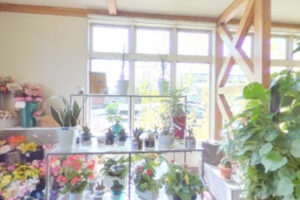 （有）五所生花店 – 宇佐市