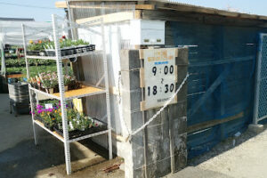 平井のたねもの屋 – 松山市