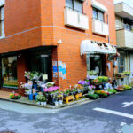 ファースト 中野店 - 中野区 3 AF1QipNzivIo ch3uFIYvOPF6sOxj7QeREESuI v0GA9w408 h271 k no