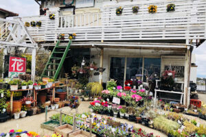 フラワーガーデンポピー – 枚方市