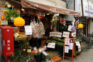 オランダ屋ブルーミスト 高円寺店 - 杉並区 13 オランダ屋ブルーミスト 高円寺店 – 杉並区