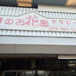AF1QipP8AkEwva y RCHlaRt9kPcZWd hcsPdzcpa92zw408 h306 k no