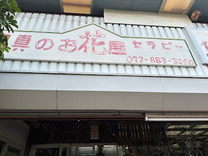 Flowershopセラピー - 門真市 1 AF1QipP8AkEwva y RCHlaRt9kPcZWd hcsPdzcpa92zw408 h306 k no
