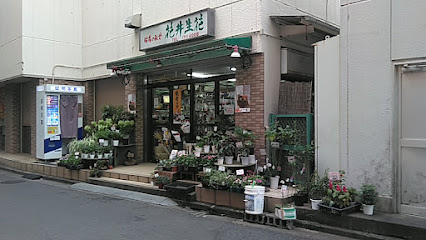 AF1QipP8U8ufRy7q NxRgy7oOnSpjsQBSB9LreFQDyCMw426 h240 k no