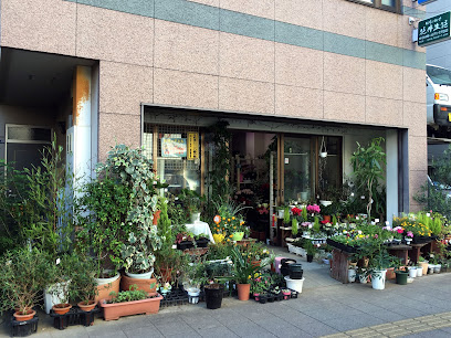 花井生花 - 志木市 1 AF1QipPBIDM4Ah6EaBxvpedP7zL7IRO6IGeSv6w1jqVww408 h306 k no