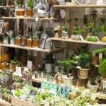 AF1QipPHleLWP3VuSR1jWRzn5BR6fKLrQUoSRz1aTMeLw408 h306 k no