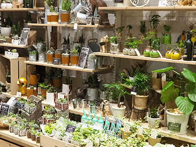 AF1QipPHleLWP3VuSR1jWRzn5BR6fKLrQUoSRz1aTMeLw408 h306 k no