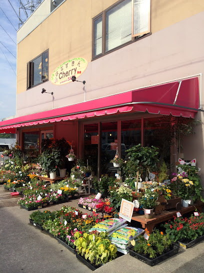 はなずきん チェリー日下店 - 東大阪市 1 AF1QipPKsli3FdwsgveQH7tufMliDHctIa8Tl4A9TQ0uw408 h544 k no
