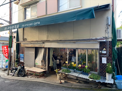はしかわ生花店 - 東大阪市 1 AF1QipPMMa0APR4V9P Tv9pNzsrEi0T9vpvM6AH7sSfNw408 h305 k no