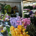 AF1QipPN6npe6zuHyZDHadtgHVKe3jIcR1GfFkv0MfxXw408 h543 k no