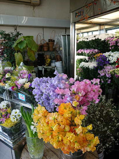 AF1QipPN6npe6zuHyZDHadtgHVKe3jIcR1GfFkv0MfxXw408 h543 k no