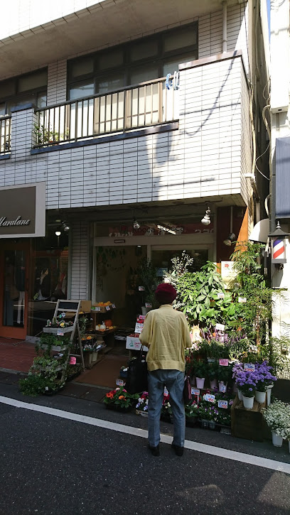 ロッカロッカ - 中野区 1 AF1QipPUnc0lJbAcY1zPH6pRcZNpg4Yj dAqNwfnPBriw408 h725 k no