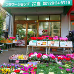 フラワーショップ 花真 - 八尾市 5 AF1QipPVJcjpBCpdwrywLx93v4LaHiUw7 cJrlDfkHL2w408 h544 k no