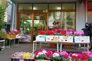フラワーショップ 花真 - 八尾市 9 フラワーショップ 花真 – 八尾市