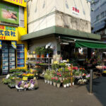 中央フラワー 鷺ノ宮店 - 中野区 3 AF1QipPo IsUtdIS5ce71HwW9WwjJ47XyXFNpJqERFiGw408 h306 k no