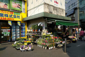 中央フラワー 鷺ノ宮店 - 中野区 14 中央フラワー 鷺ノ宮店 – 中野区