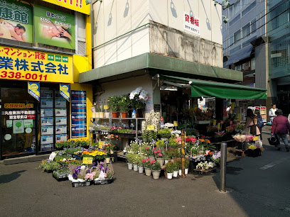 中央フラワー 鷺ノ宮店 - 中野区 1 AF1QipPo IsUtdIS5ce71HwW9WwjJ47XyXFNpJqERFiGw408 h306 k no