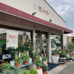 花メイト - 富山市 3 AF1QipPtg3bzH7PgJIDHQpNaeMAMRNBzos1KNh9P3Ozpw408 h544 k no