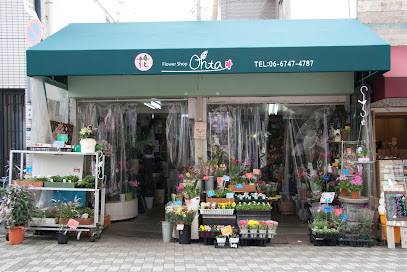 フラワーショップ大田 - 東大阪市 1 AF1QipPydTUNvHIJagylcizrmLnuZ10vW0WbNrfH6jEGw408 h272 k no