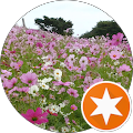 misaito